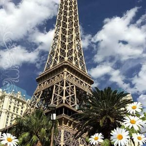 Meet your Posher, Daisy